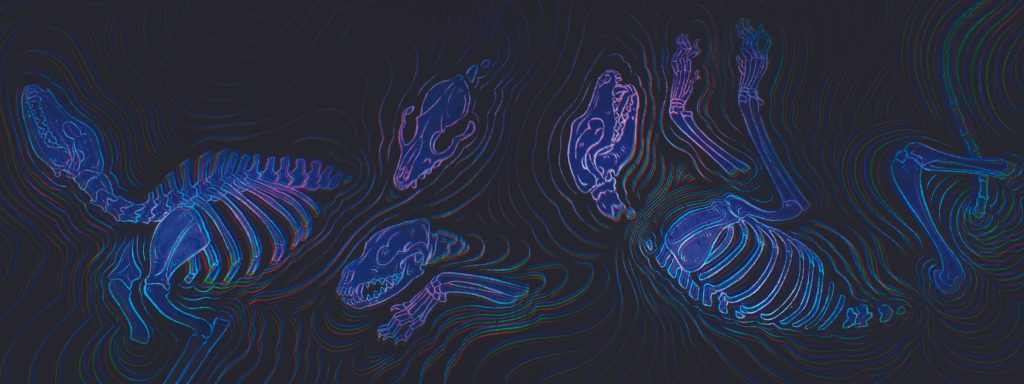 Bannière décorative reprenant le design de la couverture des Pleurs du Vide. Squelettes de chiens glitchés baignant dans une mer d'huile noire. Illustration par Maquenda.